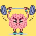 Perfect Brain 3D Puzzle